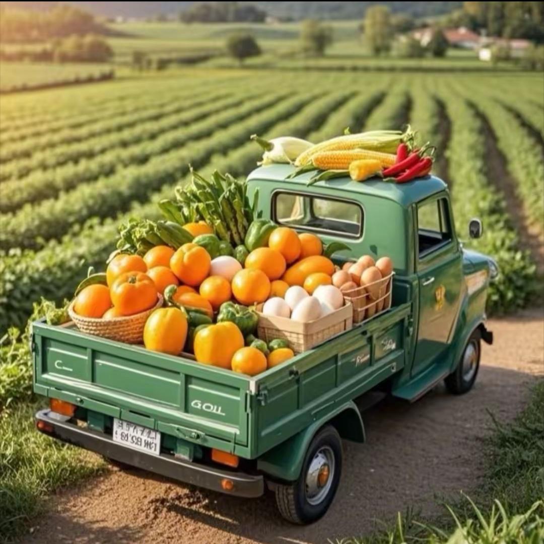 启聚床品旗舰店