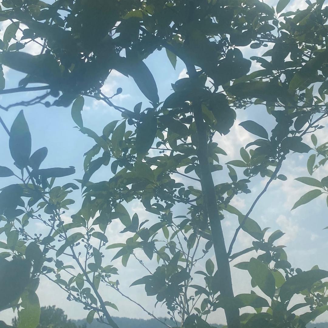 知足常乐，健康是财富