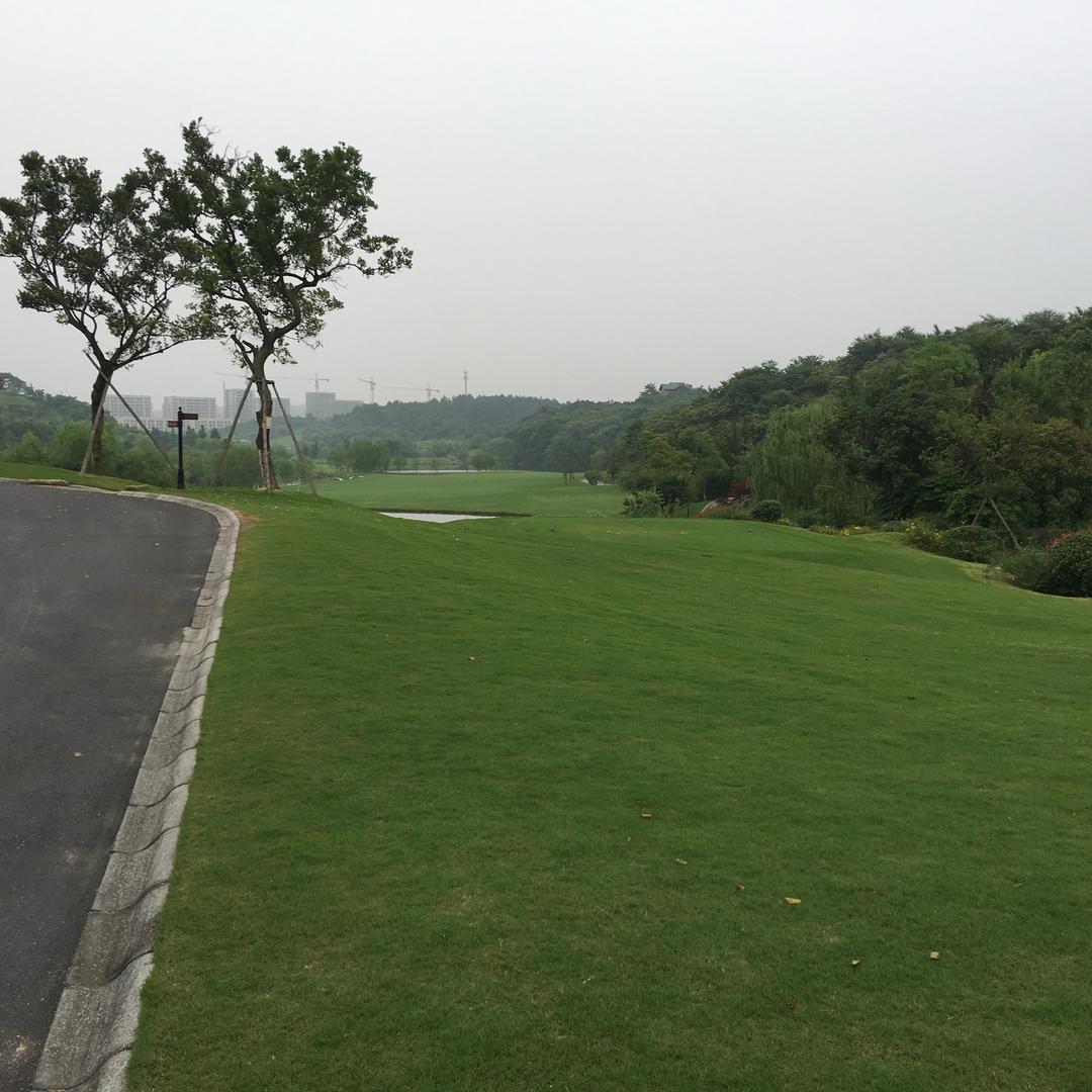 随意