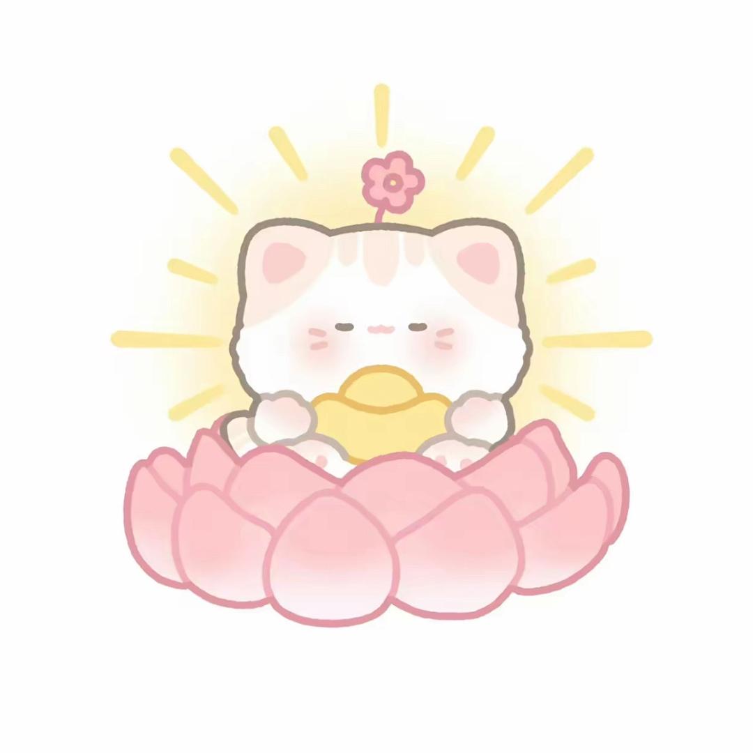 星芙starflora