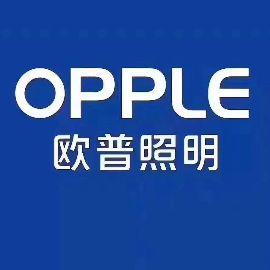 沈阳新曼美照明电器有限公司