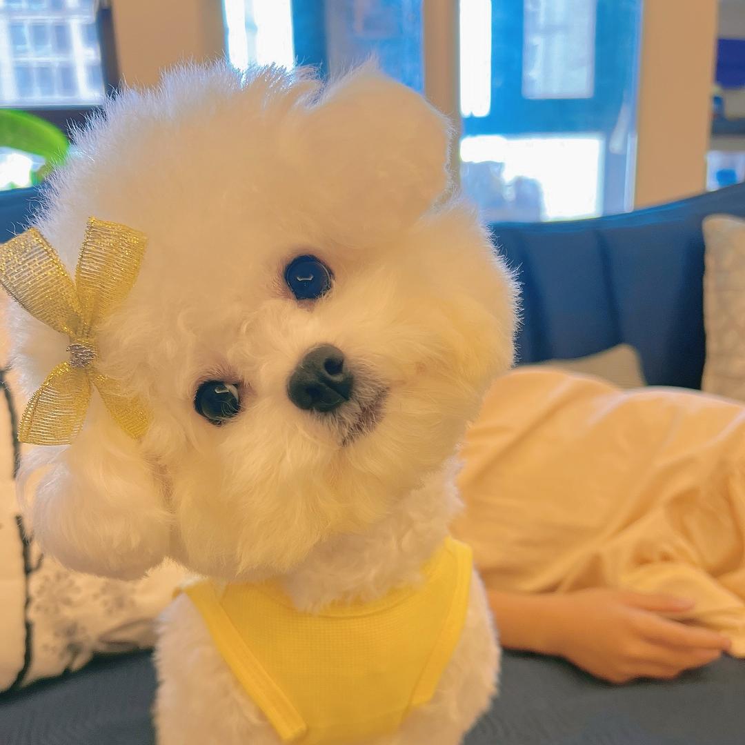 @奶茶多多