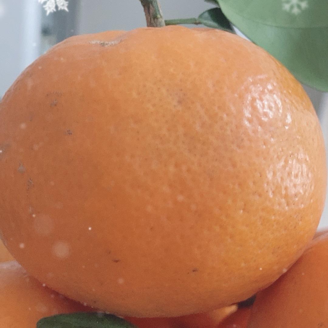 橙子好猛