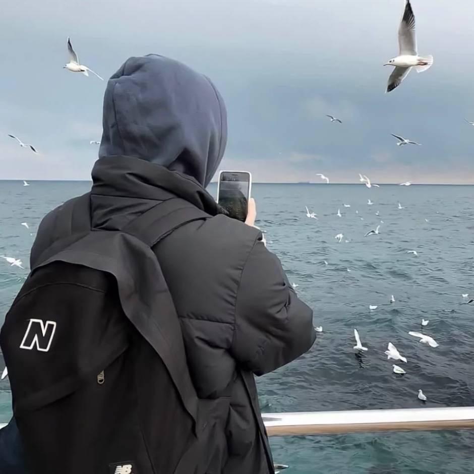 Ani（无畏契约）