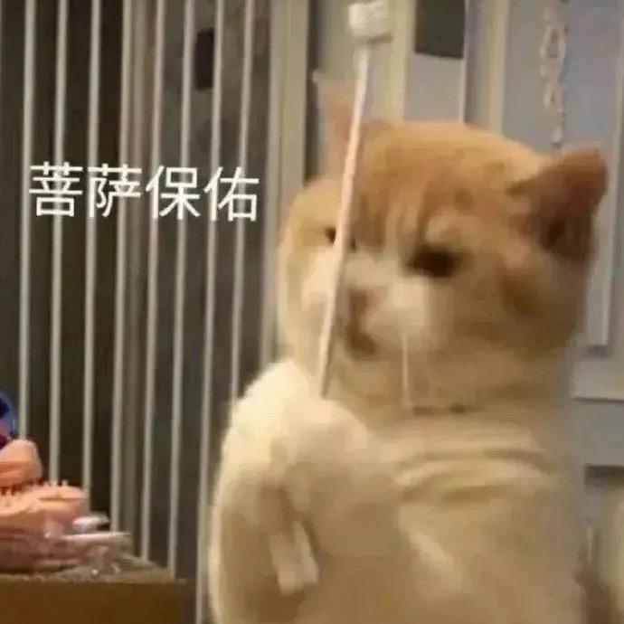 唐灰灰【烂摆子版】