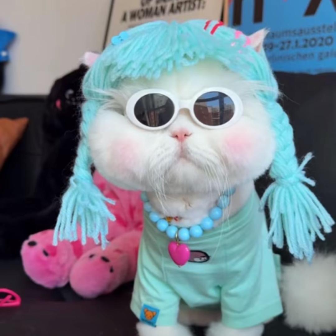 性感的甲沟不发炎