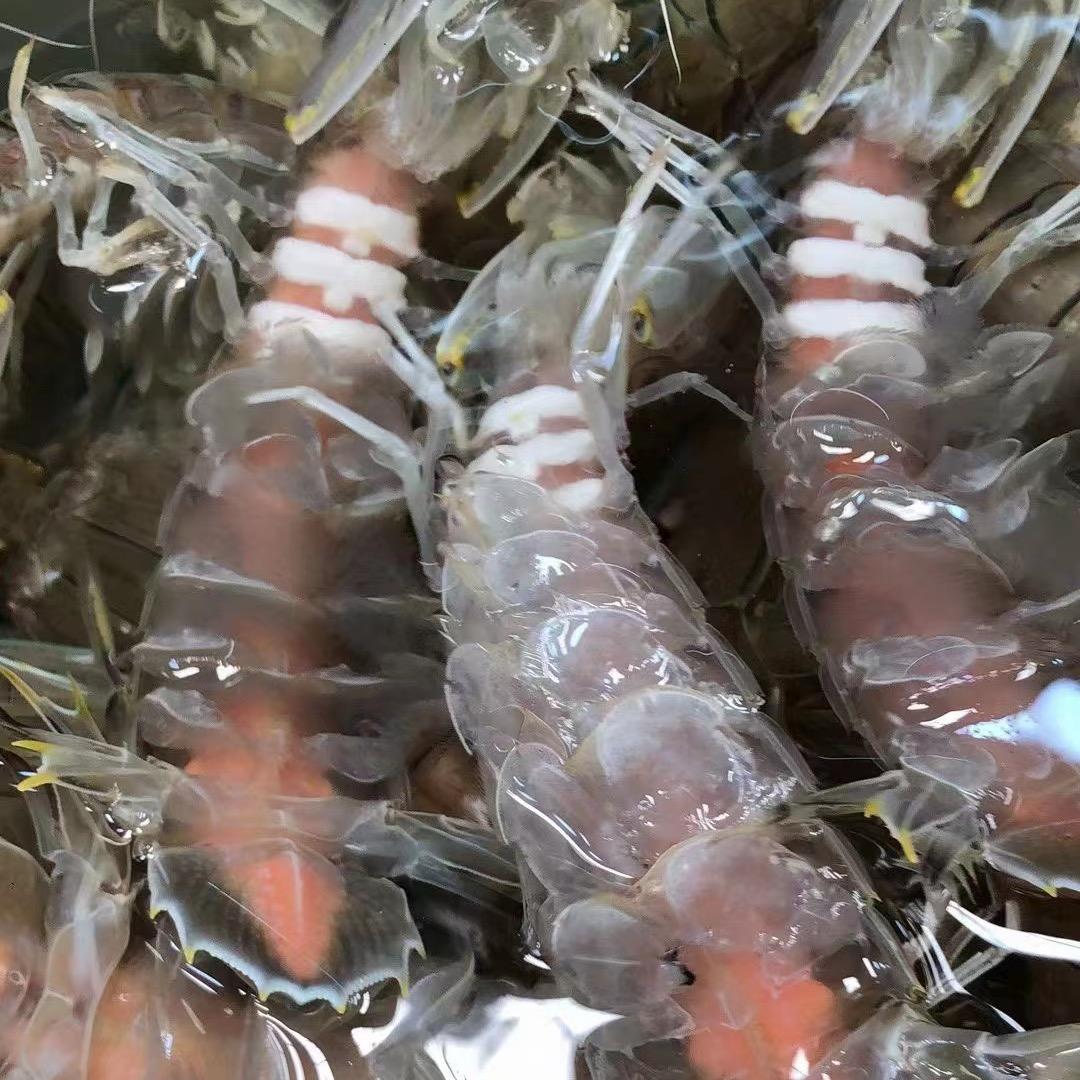 好食材 好味道！