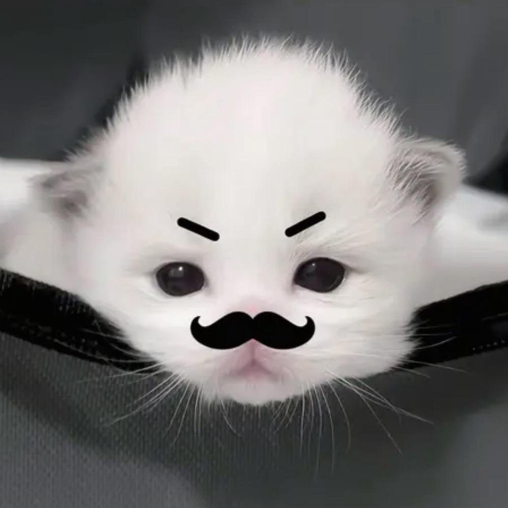 ₊⁺♡̶₊⁺