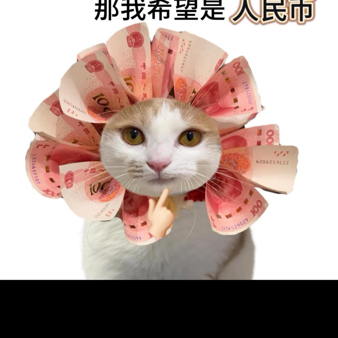 触及好物分享