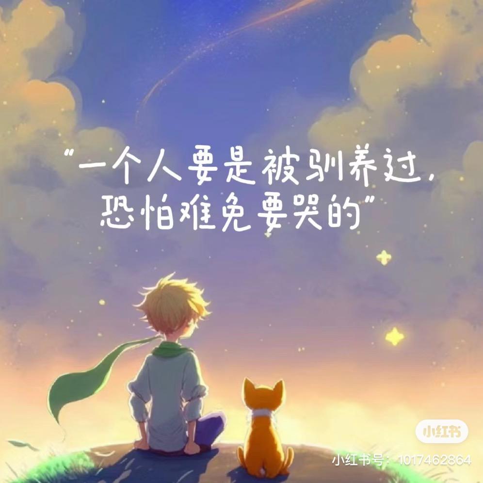 哪里有🌈告诉我