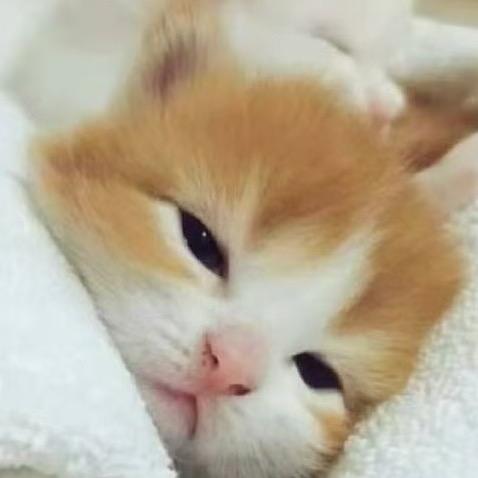 超级炫风无敌爆炸帅的咩咩噗噗鼻噶大侠