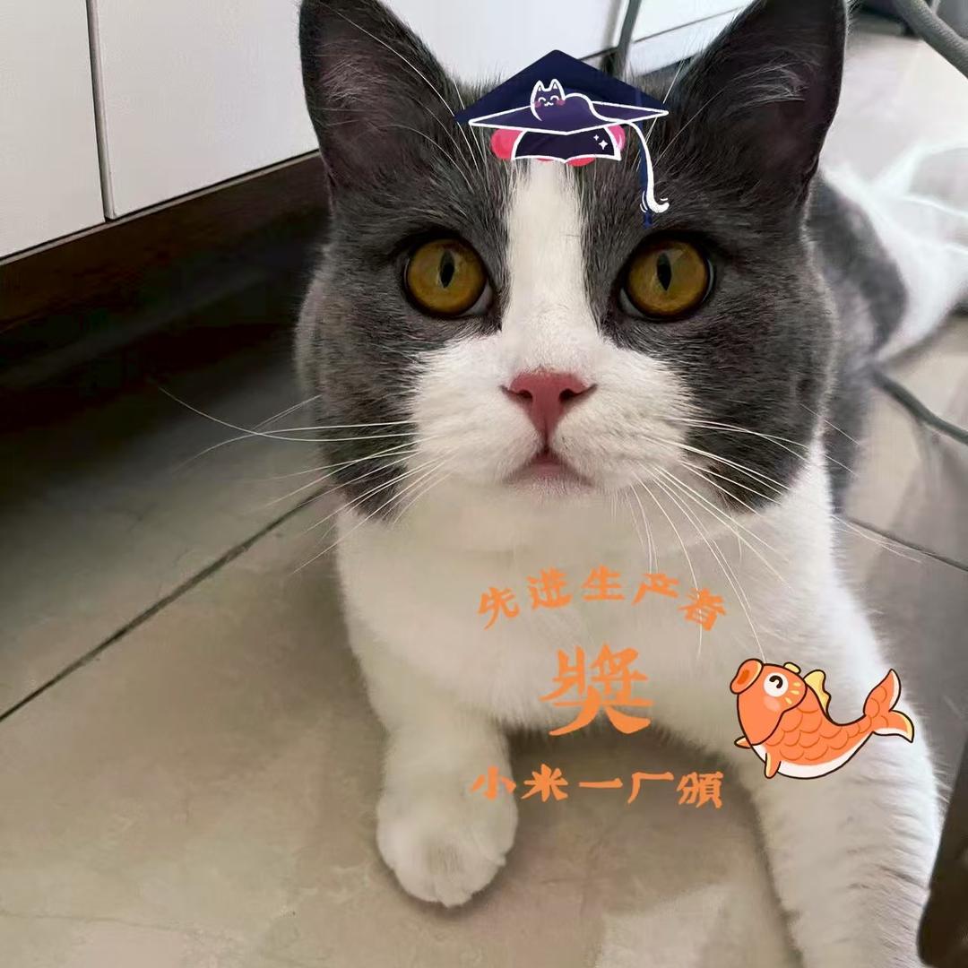 阜阳北大新世纪学校徐老师