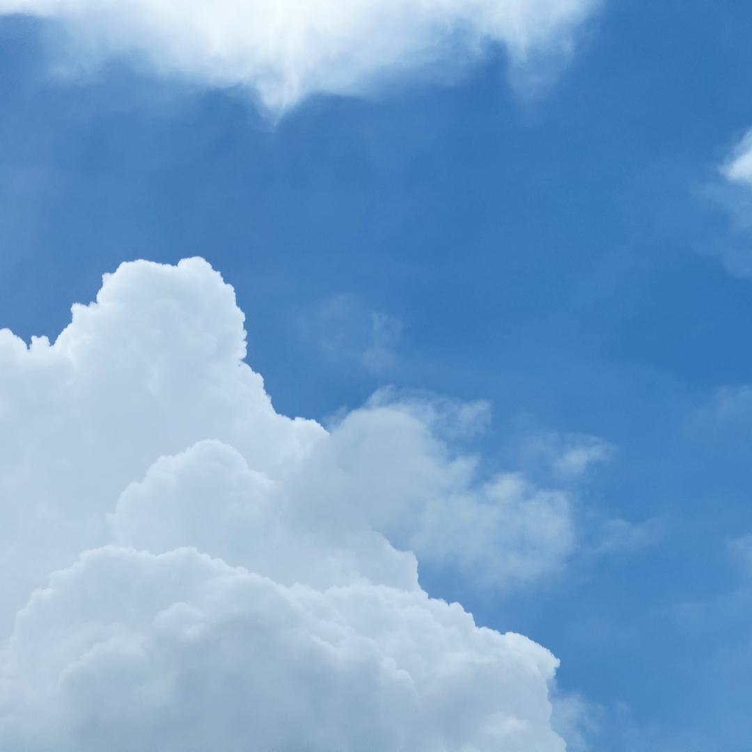 （                  ）