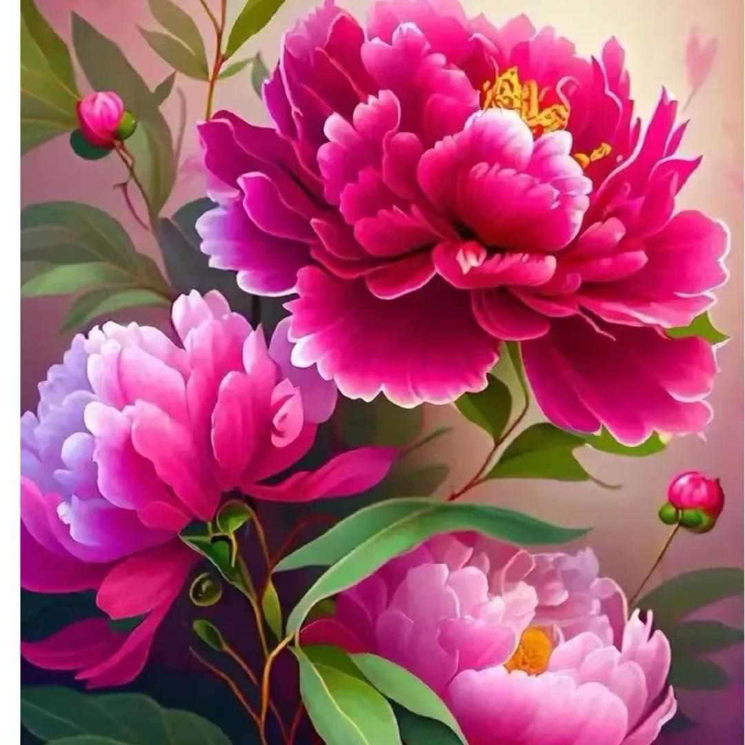 冉冉生活鲜花