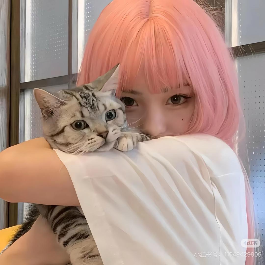 gravity（减重版）