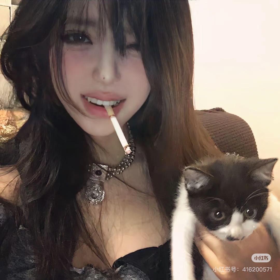 无敌猫七