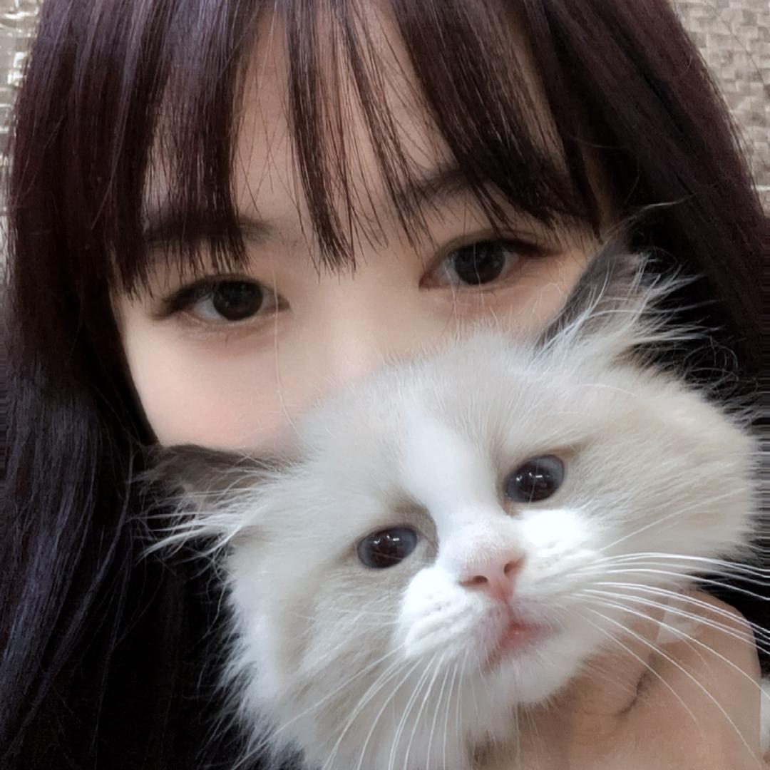 广东猫舍-奶油猫舍宠物（直播号）