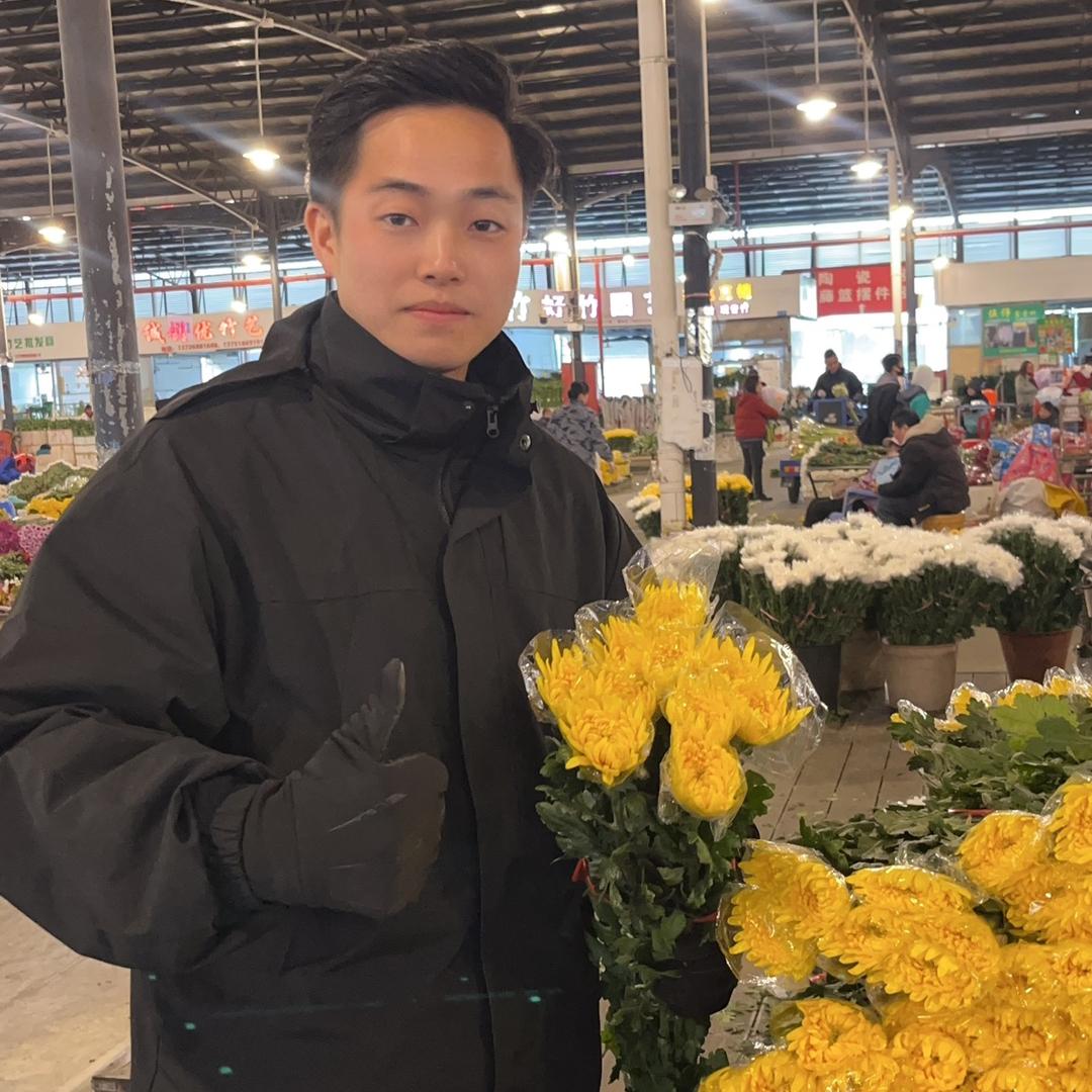 广州黄白菊批发～阿华