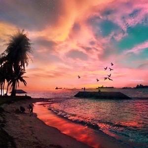 用户816352457646645576