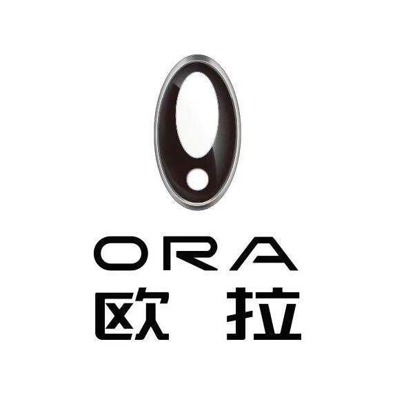 长城欧拉|商丘宗欧店
