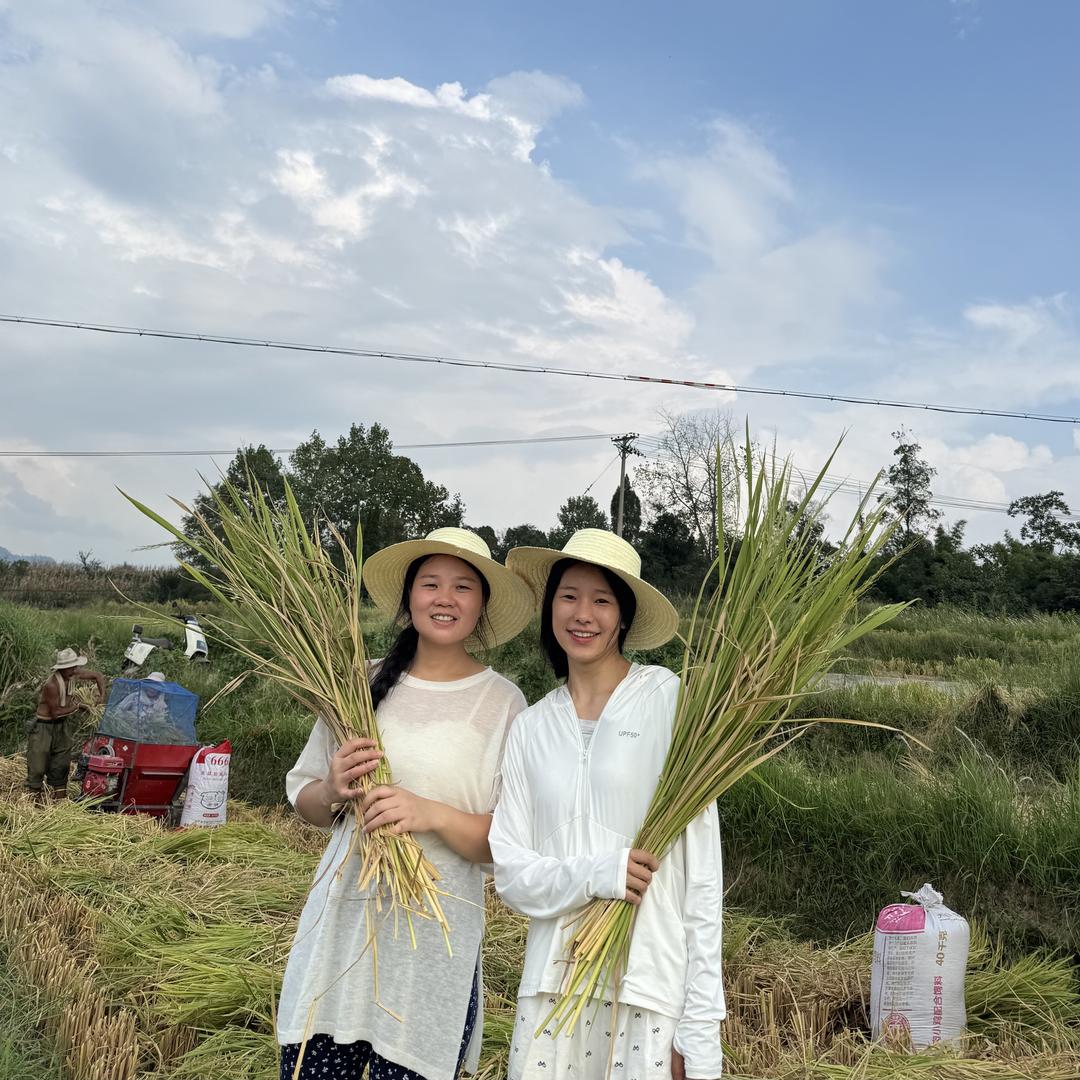 重生之我在农村卖菌子