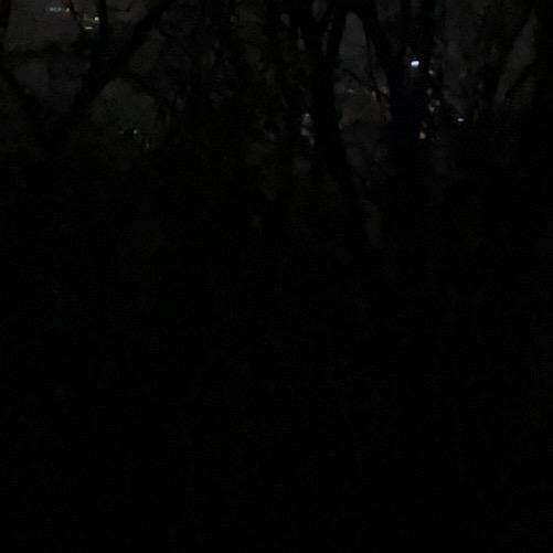 ˇˇ ㅤฅʕ•̫͡•ʔฅ千泷的泷