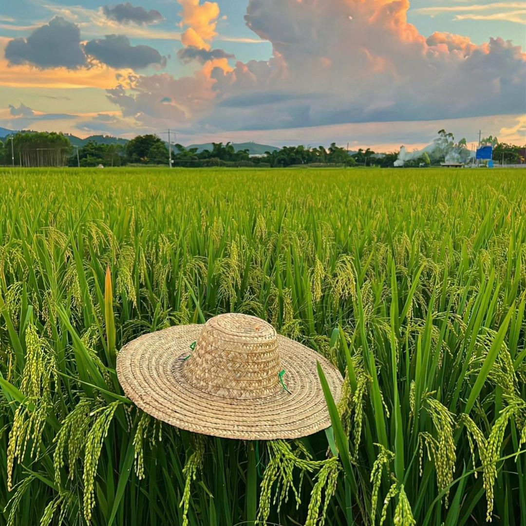 夏林小铺