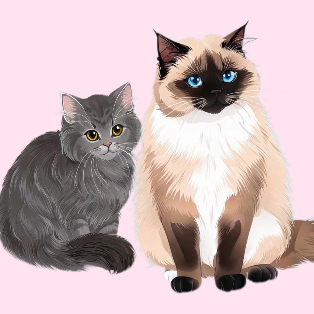 🐱巧克力爆米花