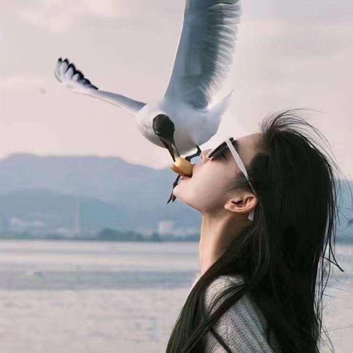 ζޓއއ 九月柚.💭