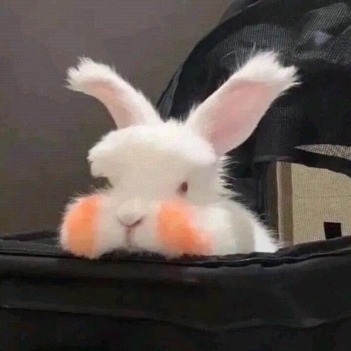 六爹