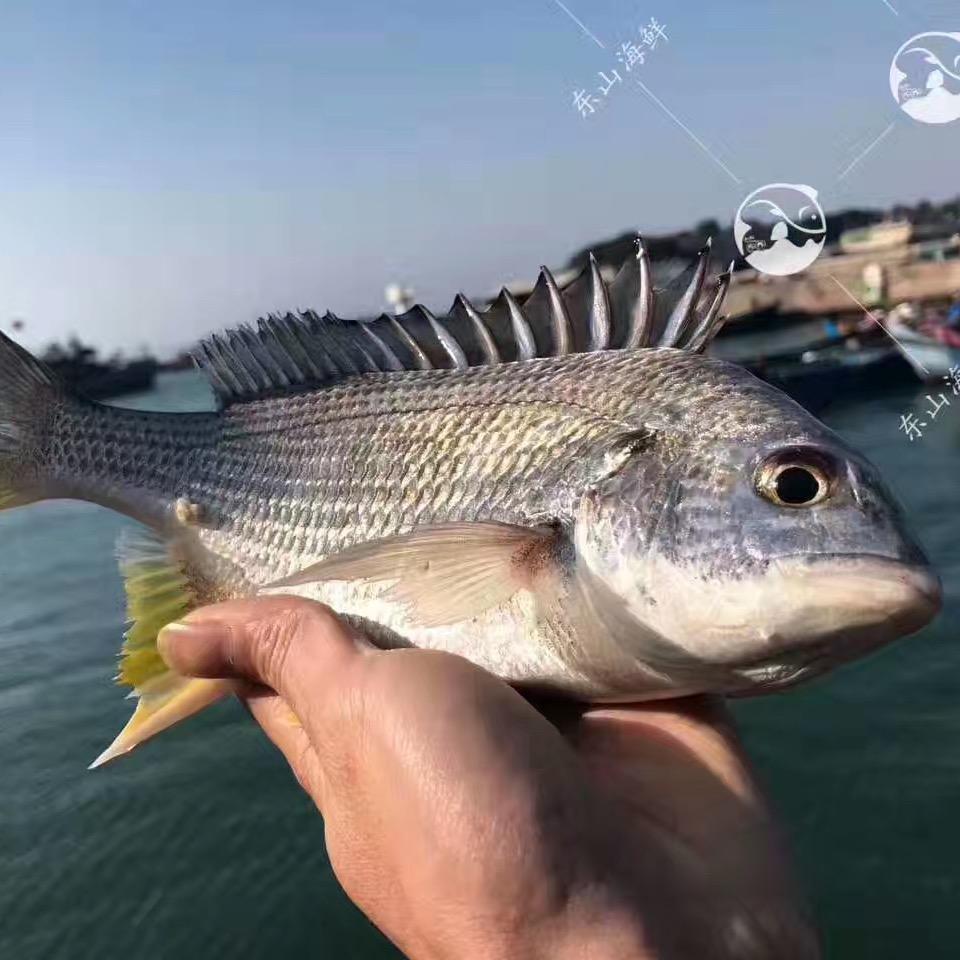 小生爱吃海鲜