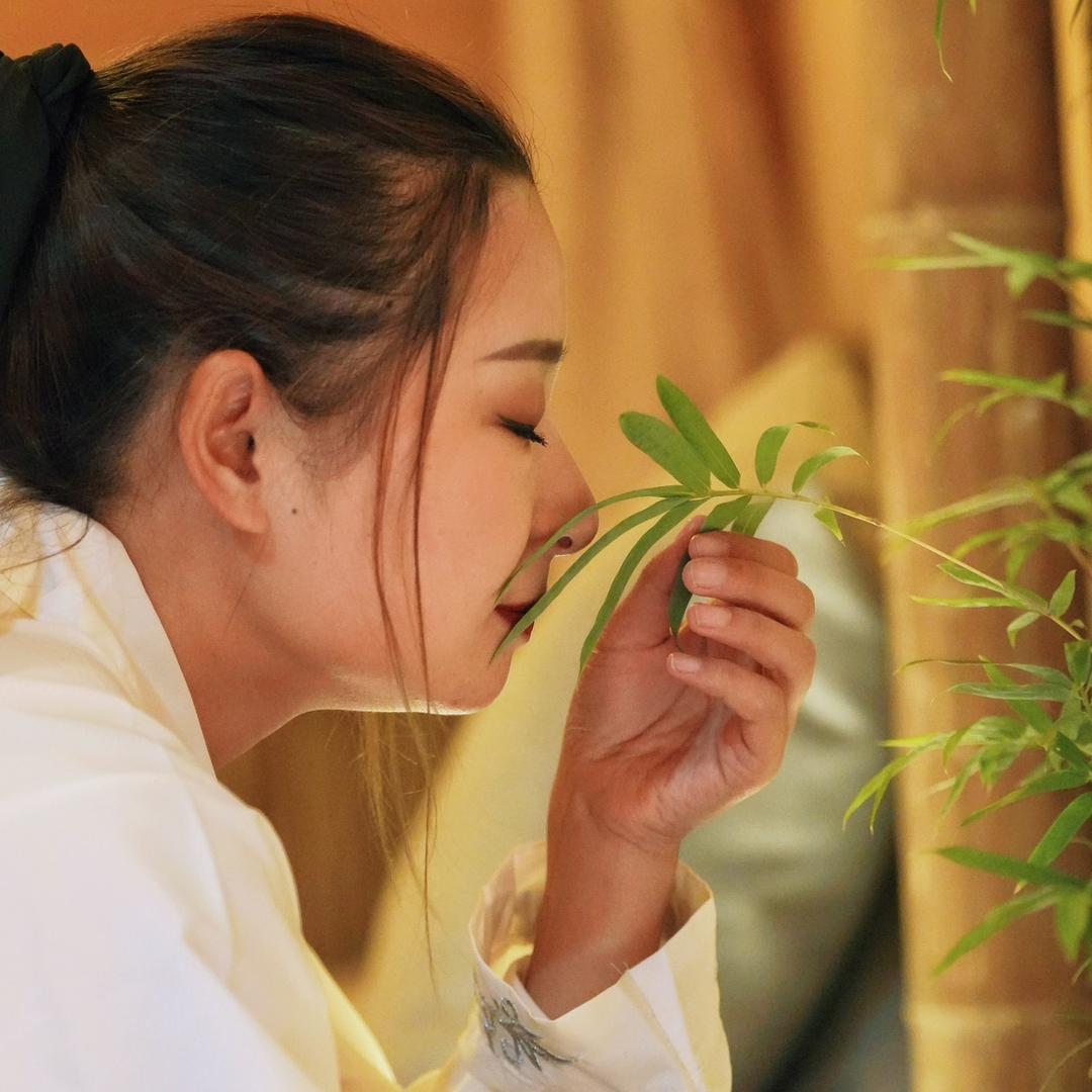 静公子-归影大当家