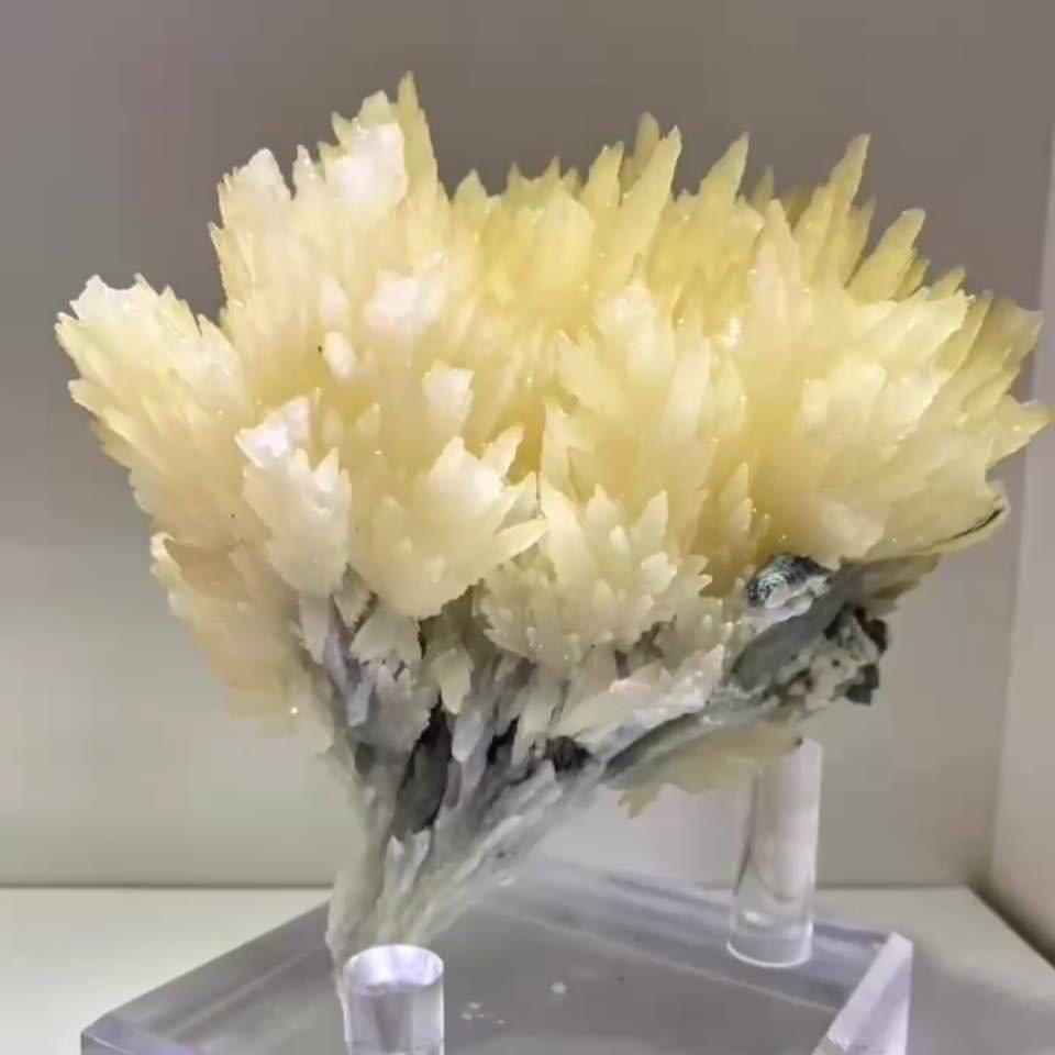 飞燕水晶