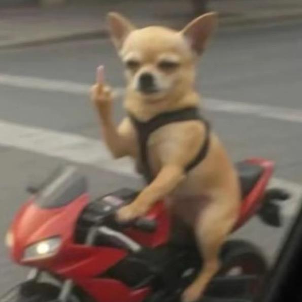 红