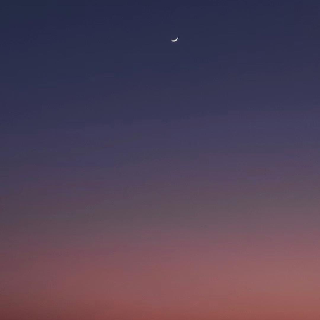 小贝