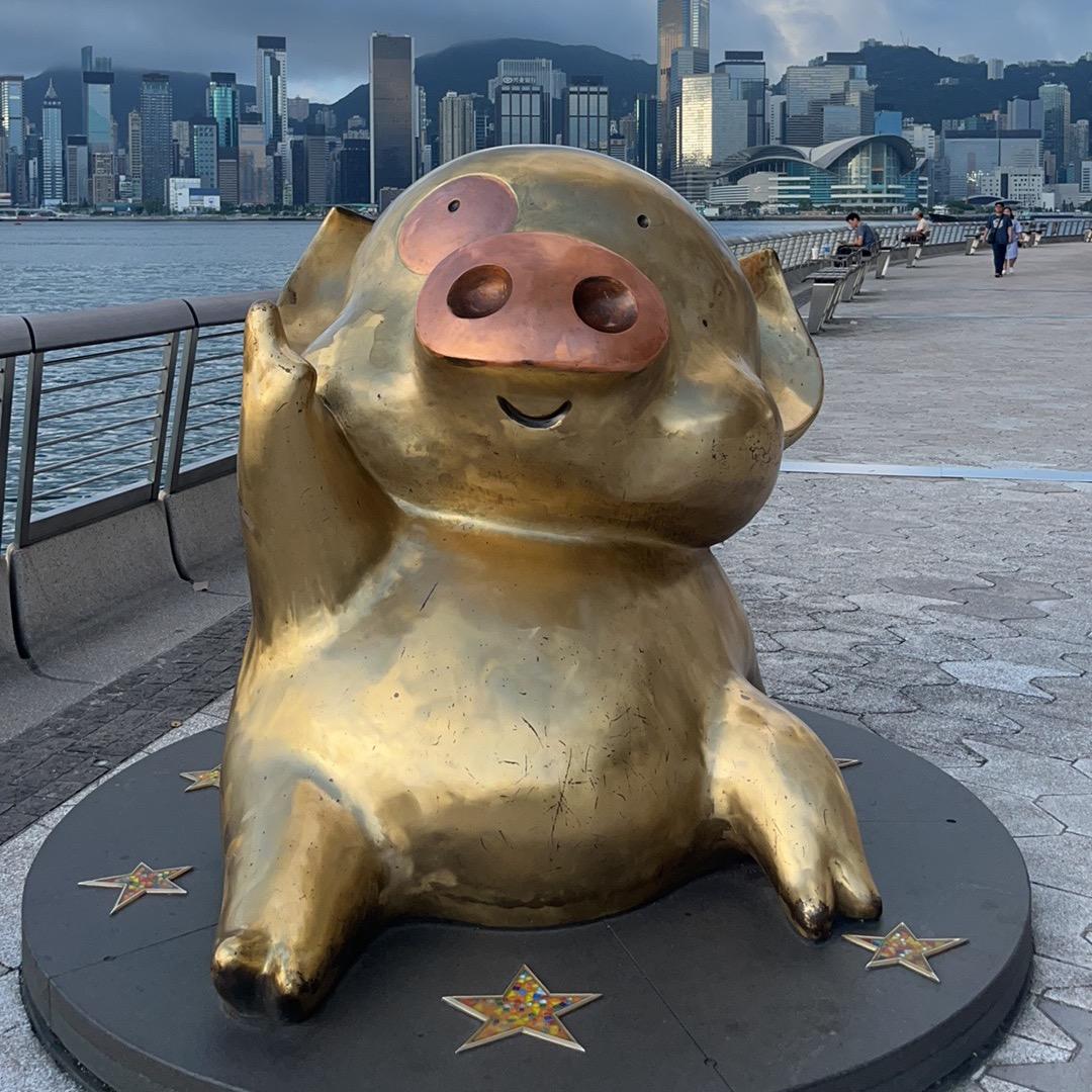 娄姚