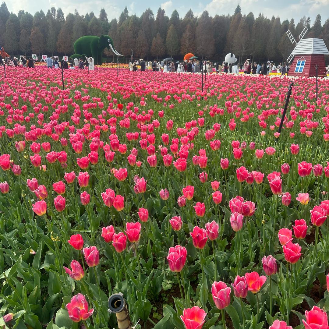 顺风顺水