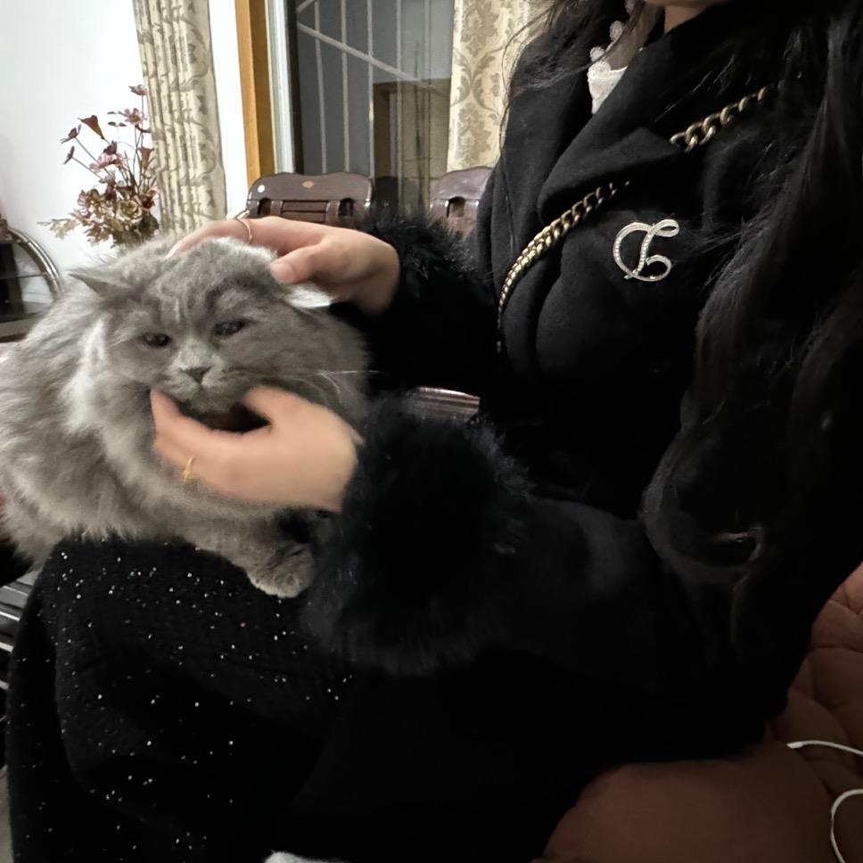 小豆的日常