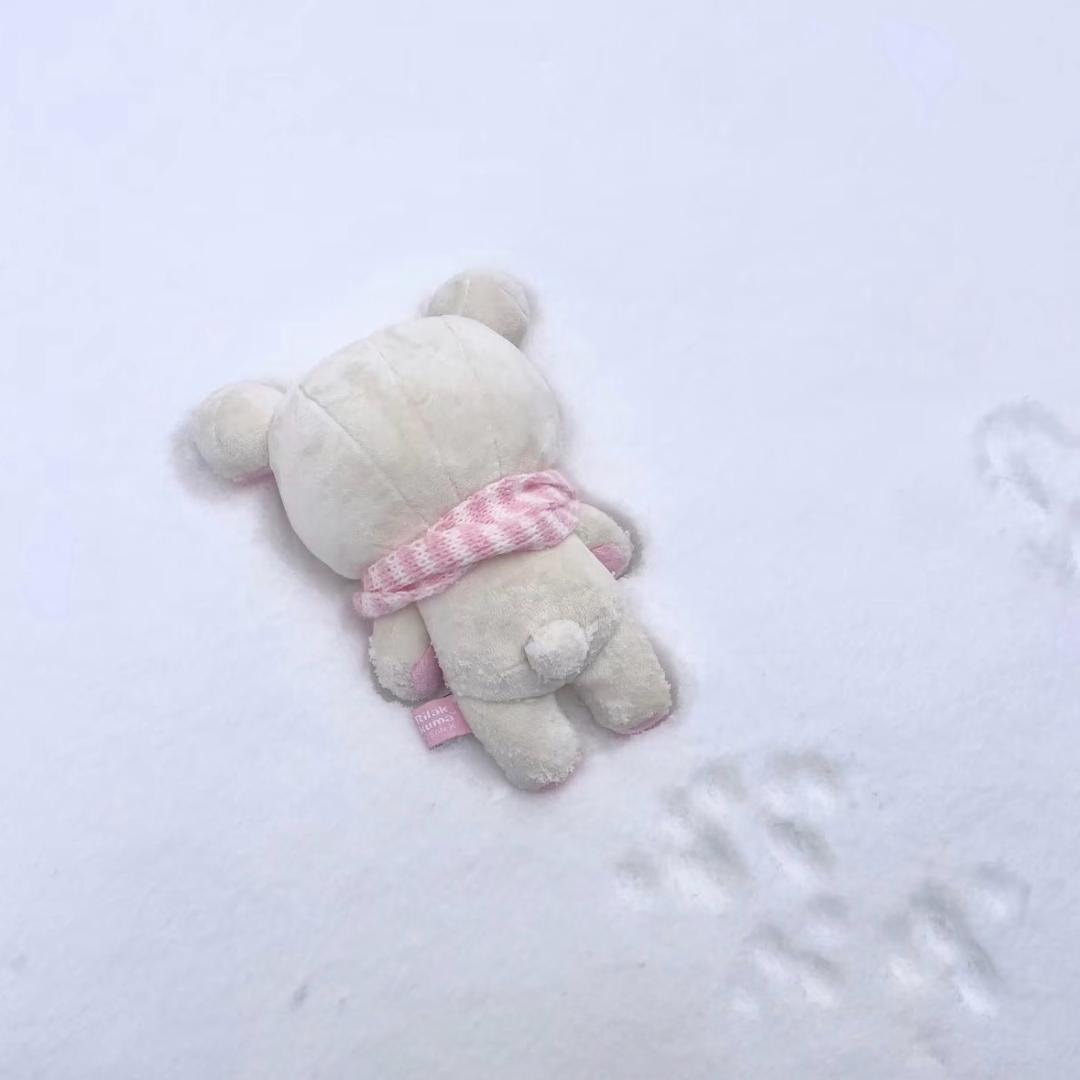 要不就这样趴在雪上