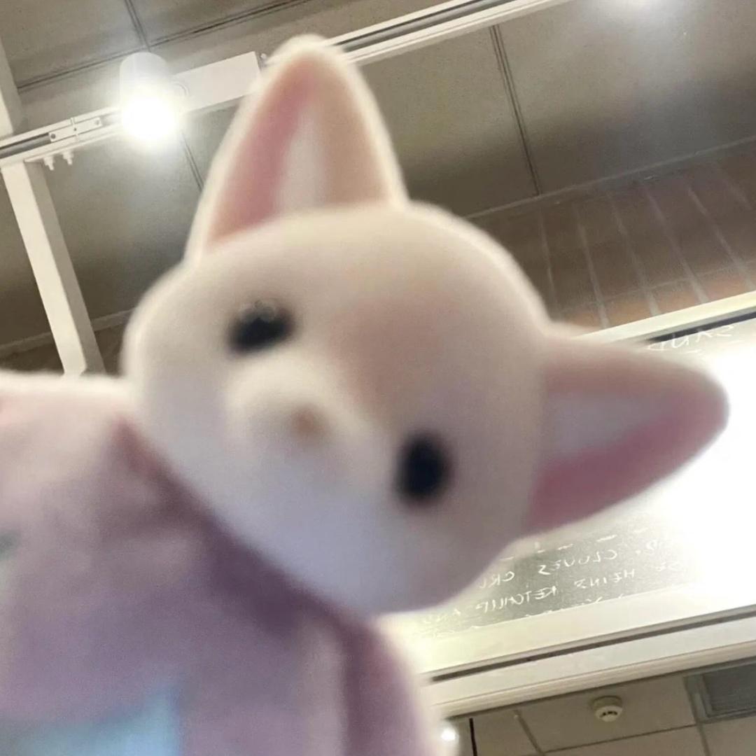 美语