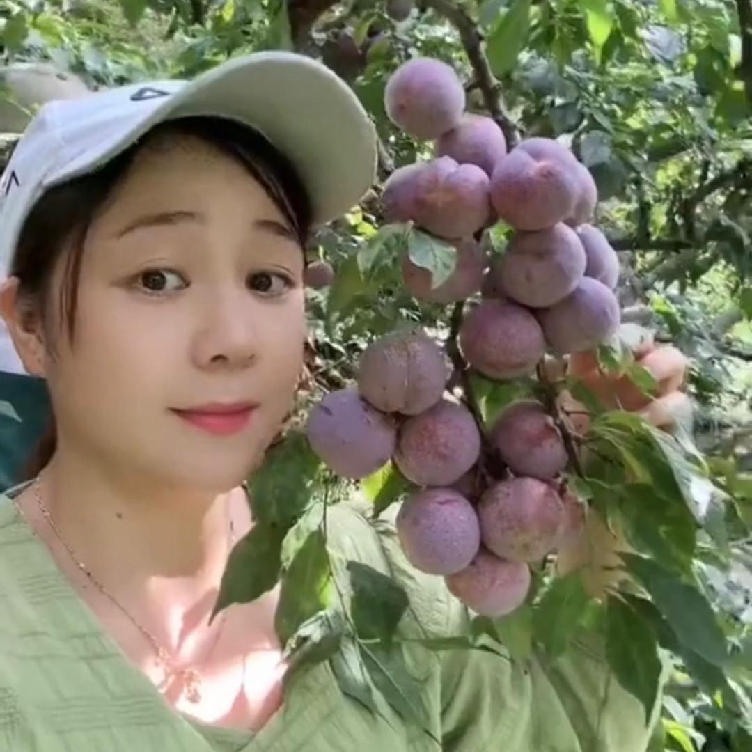 丽萍