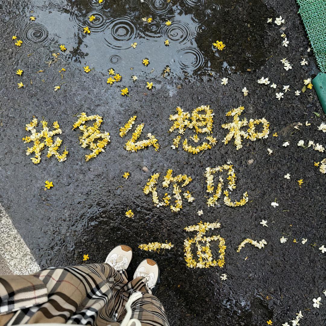 车李子🍒