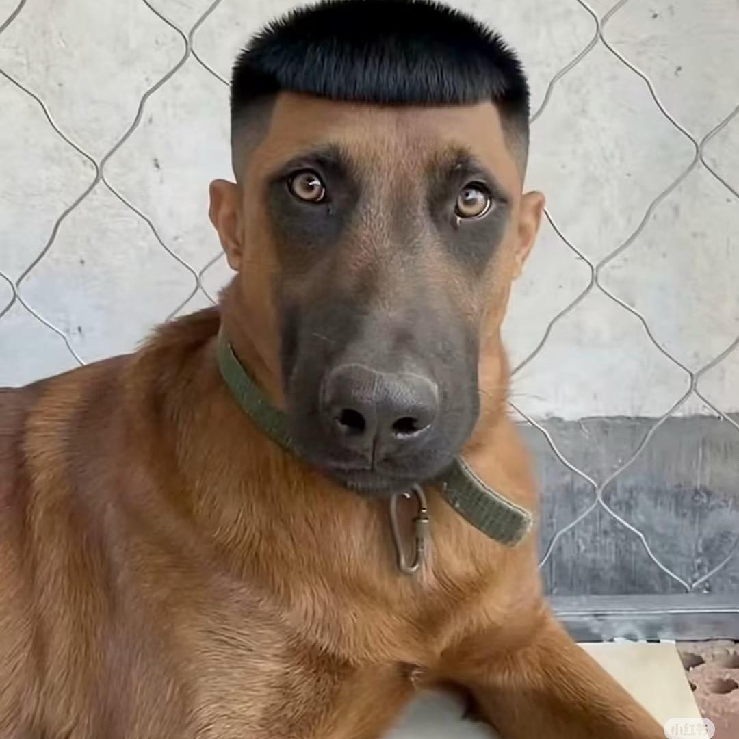 董较瘦