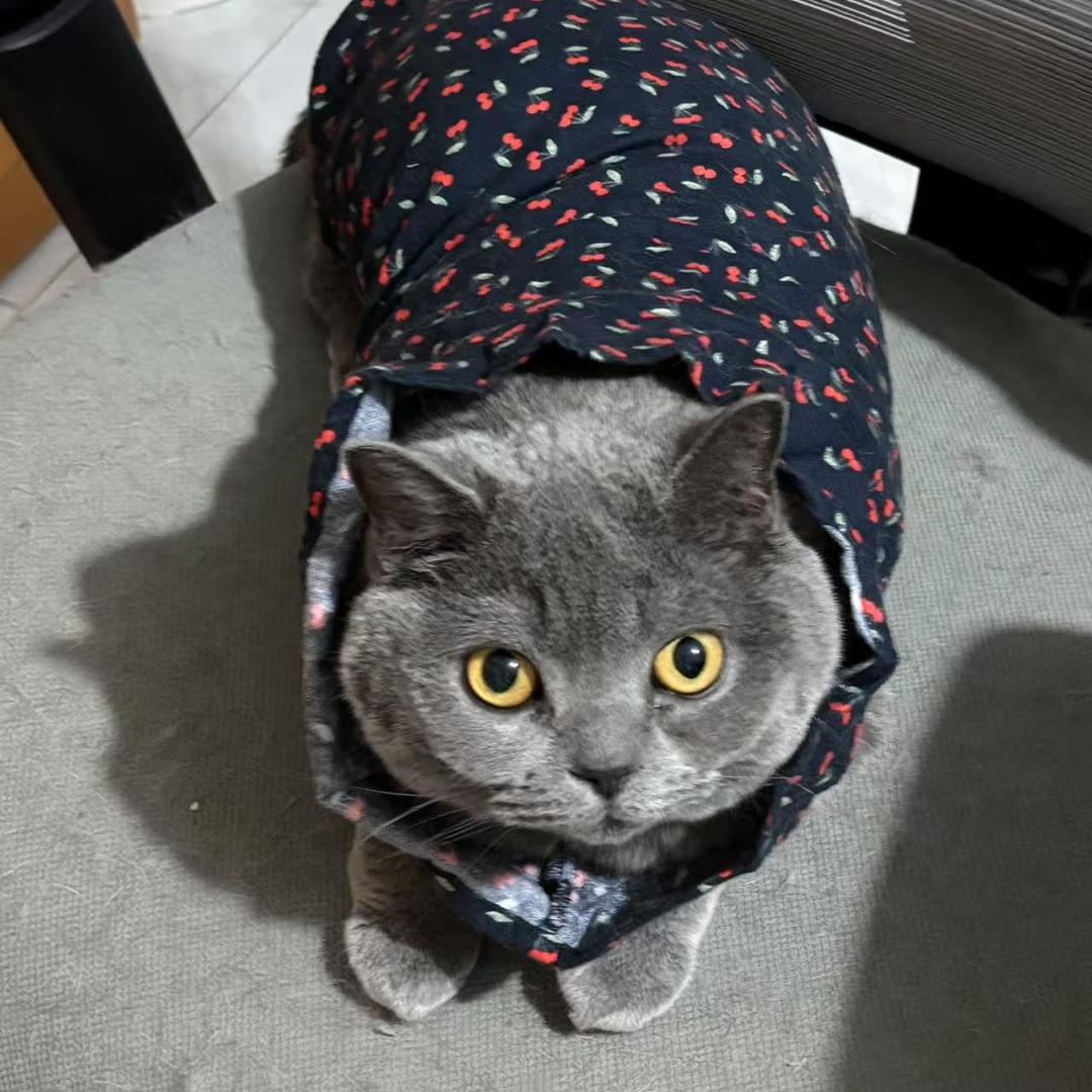 天下第一大帅哥