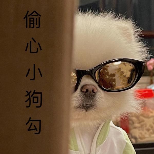 小肥羊🐑(づ¯³¯)づ