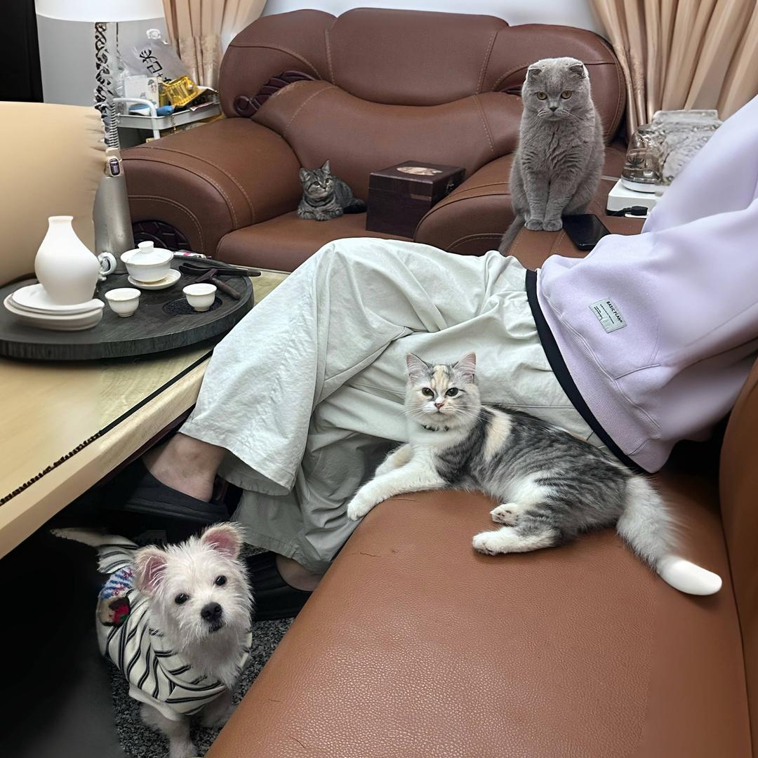 喵汪之家（猫砂工厂直发）