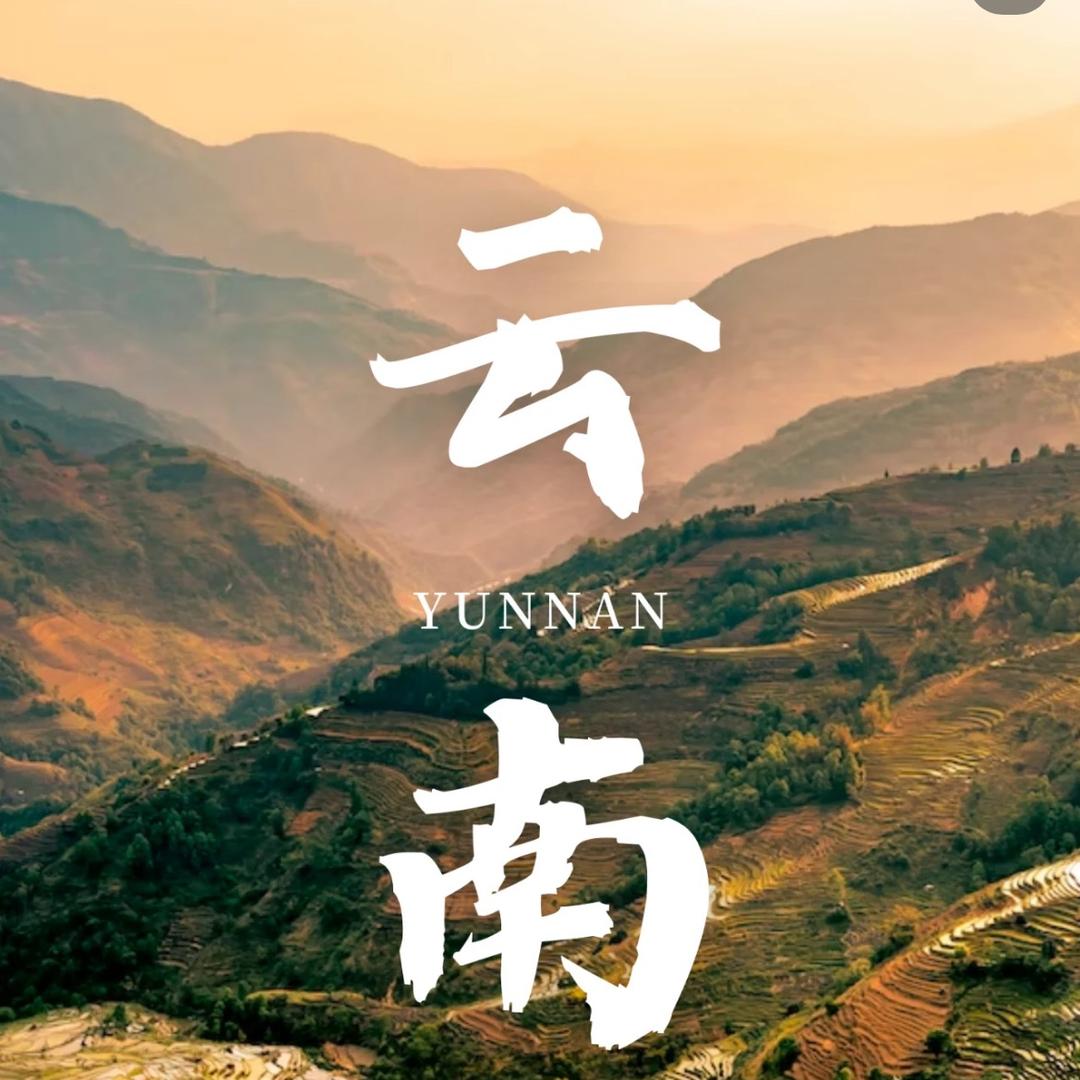 乡土农业果蔬