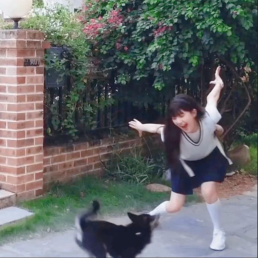 蒲葡萄