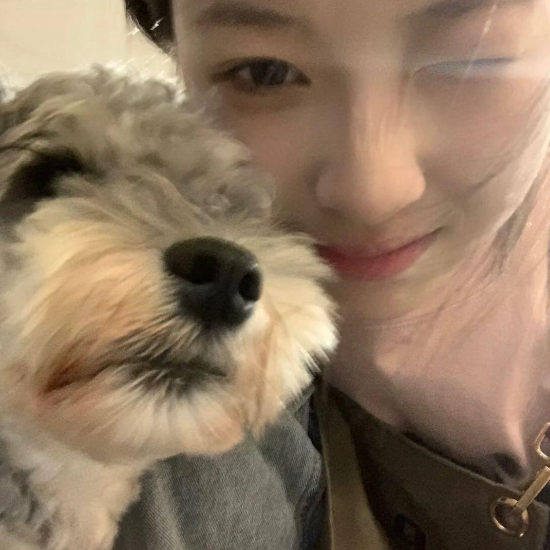 小羊小羊记得早睡🐑