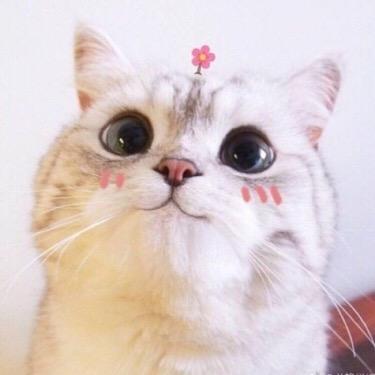 李信